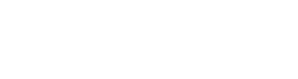 N-Hair-Logo